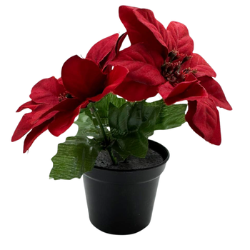 GWIAZDA BETLEJEMSKA CZERWONA W DONICZCE [28539]