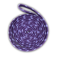 SZEROKA GUMA DO SKAKANIA 200CM - FIOLETOWA [28999]