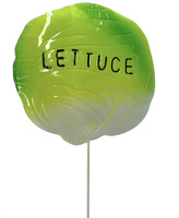 DEKORACJA OGRODOWA SAŁATA ZNACZNIK -[8155]